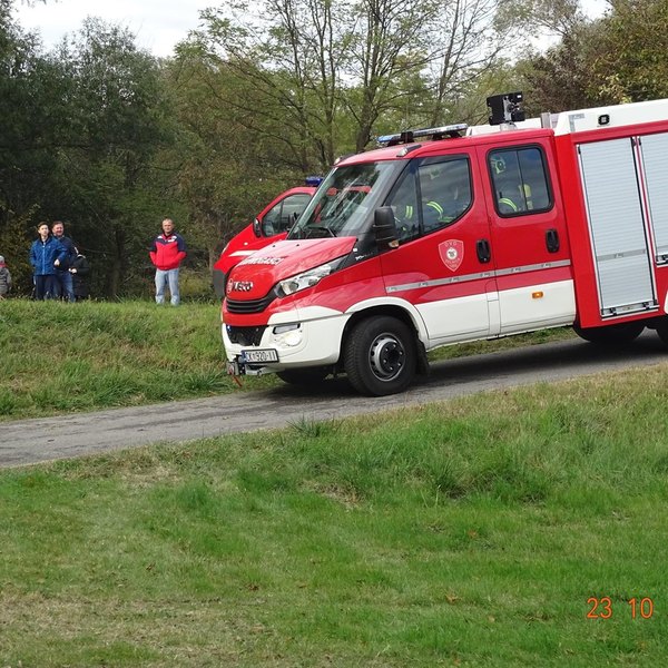 Miklavec 2021.