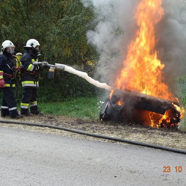 Miklavec 2021.