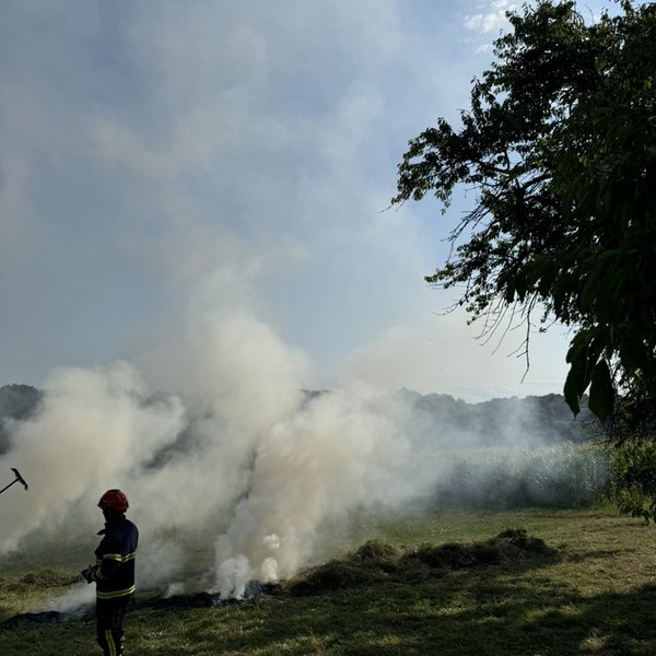 Intervencija u Plešivici