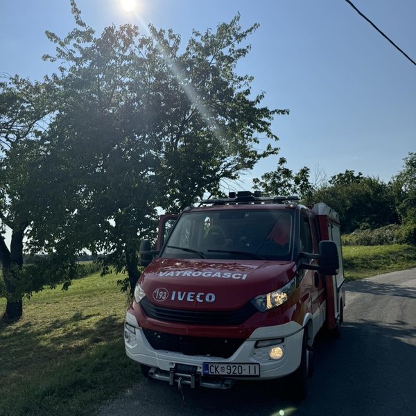 Intervencija u Plešivici