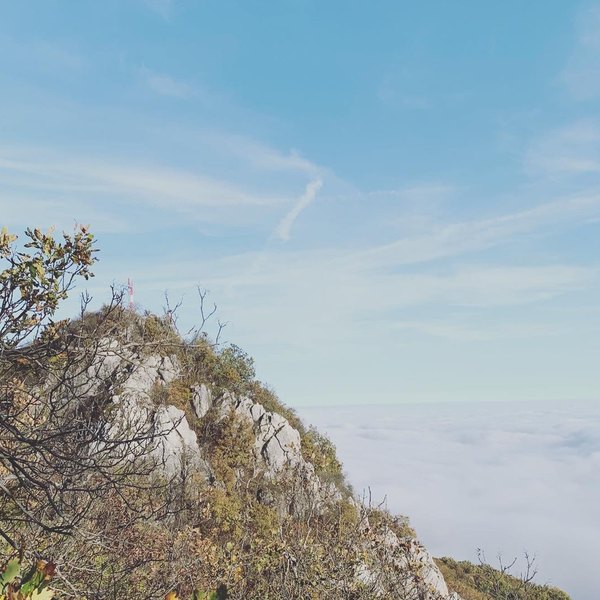 Izlet i druženje