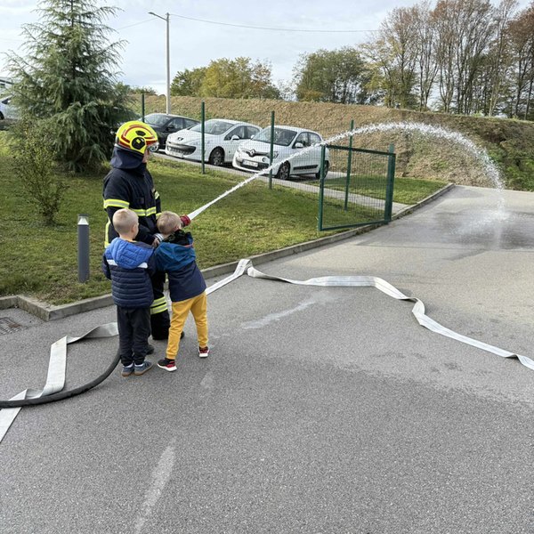 Pokazna vježba