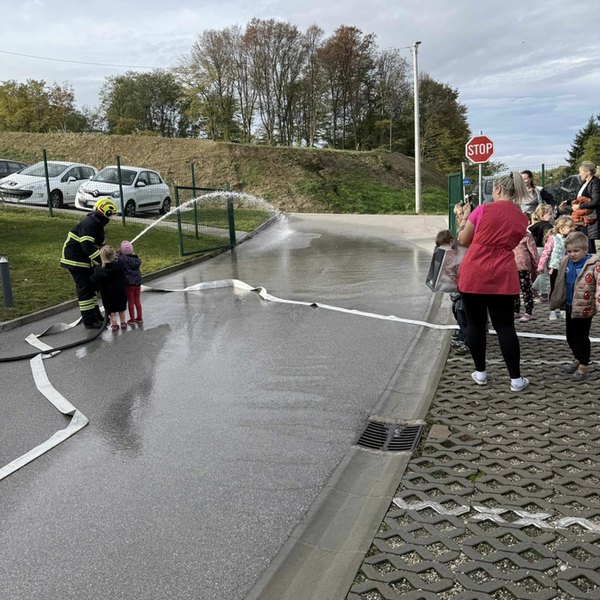Pokazna vježba