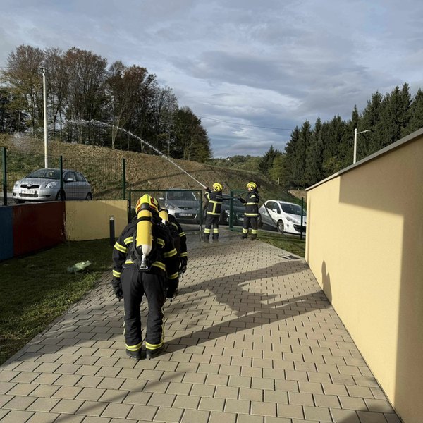Pokazna vježba