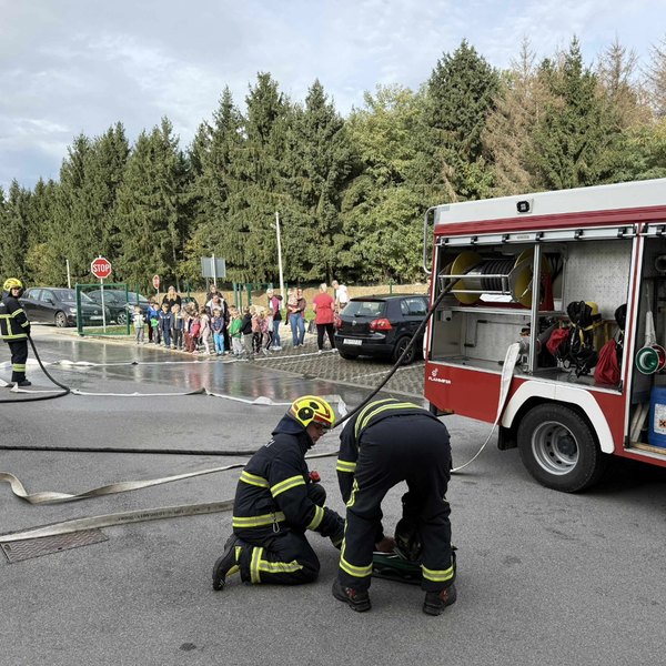 Pokazna vježba
